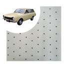 Forro Teto Belina I 70 71 72 73 74 75 76 Pontinho Branco