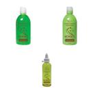 Fortalece Antiqueda Shampoo Cond. E Tônico Arruda E Biotina