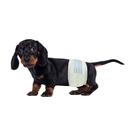 Fraldas para Cães BV Male Small (30-48cm) - 50 Unidades Superabsorventes