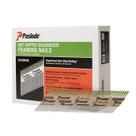 Framing Nails Paslode 650383 HDG Cabeça redonda de 30 graus 60 mm