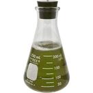 Frasco Erlenmeyer Corning Pyrex 250 ml com boca estreita e rolha