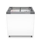 Freezer e Expositor Horizontal Metalfrio 185 Litros Branco NF20SBD001 220V Freezer e Expositor Horizontal Metalfrio 185 Litros Branco NF20SBD001 220V