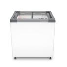 Freezer e Expositor Horizontal Metalfrio 185 Litros Branco NF20SBD001 220V