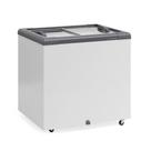 Freezer Horizontal 210 Litros 0,86m 2 Tampas de Vidro GHD-200 CZ Cinza Gelopar - Rodízios 0C a +7C e -16C a -20C Freezer Horizontal 210 Litros 0,86m 2 Tampas de Vidro GHD-200 CZ Cinza Gelopar - Rodízios 0C a +7C e -16C a -20C