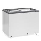 Freezer Horizontal 295 Litros Gelopar Ghd-300cz Dupla Ação Tampa De Vidro 220v