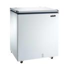 Freezer Horizontal Esmaltec Dupla Ação 230 Litros Tampa Cega ECH250 220V