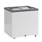 Freezer Horizontal Ghd200h Cinza 200 Litros 2 Tampa Vidro 127V Gelopar