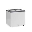 Freezer Horizontal Ghd200h Cinza 200 Litros 2 Tampa Vidro 220V Gelopar