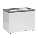 Freezer Horizontal Ghd300h Cinza 300 Litros 2 Tampa Vidro 127V Gelopar