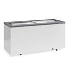 Freezer Horizontal Ghd500h Cinza 500 Litros 2 Tampa Vidro 220V Gelopar