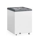Freezer Plano Vidro Reto Deslizante com LED 130L GHD130L Cinza Gelopar 220V