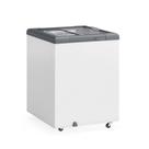 Freezer Plano Vidro Reto Deslizante Com Led Ghd130l Gelopar Expositor 130 Litros Cinza Gelopar 220v