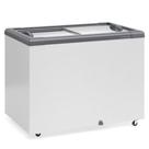Freezer Plano Vidro Reto Deslizante Ghd300 Cinza Gelopar 220V