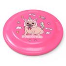 Frisbee Disco Arremesso Voador Praia Verão Diversão Brincadeira Criança Cachorro Pet - Helsim