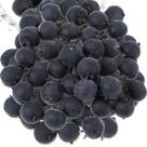 Fruta simulada de mirtilos artificiais InnohHustle (50 unidades)