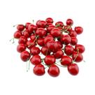 Frutas Artificiais De Cereja 10-20 Peças Para Decoração De Bolos, Adereços Para Fotografia Frutas Artificiais De Cereja 10-20 Peças Para Decoração De Bolos, Adereços Para Fotografia