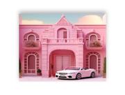 Fundo Fotográfico 1,55 X 1,20 - Casa Realeza Rosa com Carro 019