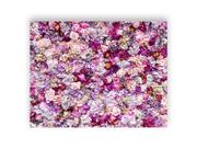 Fundo Fotográfico 1,55 X 1,20 - Flores Lilás e Roxo 104