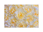 Fundo Fotográfico 2,20 x 1,50 - Flores Amarelo Claro 060