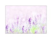 Fundo Fotográfico 2,20 x 1,50 - Flores Lavanda Claro 010