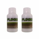 Fungiplant portomaggiore 2 un
