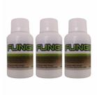 Fungiplant portomaggiore 3 un Fungiplant portomaggiore 3 un