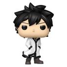 Funko pop fairy tail 100 years quest gray 2287