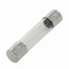 Fusível 12A Vidro Grande para Microondas - Ref.25798