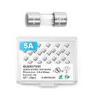 Fusível CHANZON 3,6 x 10 mm 5 A 125 V/250 V de ação rápida, 20 unidades Fusível CHANZON 3,6 x 10 mm 5 A 125 V/250 V de ação rápida, 20 unidades