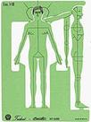 Gabarito 4388 figura humana 1:10 - TRIDENT Gabarito 4388 figura humana 1:10 - TRIDENT