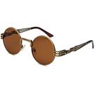 Gafas de Sol AIEYEZO Steampunk Redondas con Montura de Metal 100% UV400