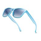 Gafas de sol Dollger polarizadas UV400 clásicas retro azul/negro