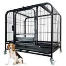 Gaiola Cao Gato Pet Cachorro Animal de Estimaçao Canil Pet Shop Bandeja Removivel Transporte Rodinhas Seguro