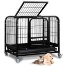 Gaiola Cao Pet Cachorro Gato Canil Animal de Estimaçao Pet Shop Bandeja Removivel Rodinhas Transporte Seguro Gaiola Cao Pet Cachorro Gato Canil Animal de Estimaçao Pet Shop Bandeja Removivel Rodinhas Transporte Seguro