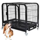 Gaiola Cao Pet Cachorro Gato Canil Pet Shop Bandeja Removivel Rodinhas Transporte Seguro Animal de Estimaçao