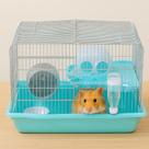 Gaiola Casa P/ Hamster Com Brinquedos E Globo De Exercícios