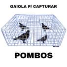 Gaiola de Captura de Pombos Controle Humanizado e Seguro de Aves Urbanas Gaiola de Captura de Pombos Controle Humanizado e Seguro de Aves Urbanas