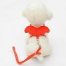 Gaiola de pássaro banhos de pássaros lindo anjo coleiras de cachorro de estimação trela ajustável acessórios para animais de estimação tamanho: m vermelho Gaiola de pássaro banhos de pássaros lindo anjo coleiras de cachorro de estimação trela ajustável acessórios para animais de estimação tamanho: m vermelho