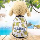 Gaiola de pássaros banhos de pássaros camiseta com estampa de frutas para animais de estimação filhote de cachorro gato saia de frutas fofa tamanho: colete xl