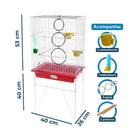 Gaiola Mini Viveiro para Calopsita Agapornis Completa com Acessórios