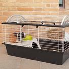 Gaiola Para Roedores Coelhos Chinchila Porquinho da Índia Casita 80 - Ferplast