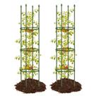Gaiola para Tomate joyhalo Ajustável 150 cm Resistente Pacote com 2 Gaiola para Tomate joyhalo Ajustável 150 cm Resistente Pacote com 2