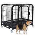Gaiola Pet Cao Cachorro Gato Canil Pet Shop Bandeja Removivel Rodinhas Transporte Animal de Estimaçao Seguro Resistente Gaiola Pet Cao Cachorro Gato Canil Pet Shop Bandeja Removivel Rodinhas Transporte Animal de Estimaçao Seguro Resistente