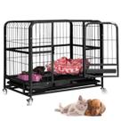 Gaiola Pet Gato Cao Cachorro Canil Pet Shop Transporte Rodinhas Animal de Estimaçao Bandeja Removivel Resistente Seguro Gaiola Pet Gato Cao Cachorro Canil Pet Shop Transporte Rodinhas Animal de Estimaçao Bandeja Removivel Resistente Seguro