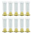 Gaiola Tubo Completa Kit 10 Unidades Criar Rainha Apicultura