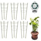 Gaiolas de suporte para plantas Garmeinea, pacote com 6, 45 cm com anéis ajustáveis