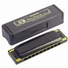 Gaita Hohner Pro Harp MS D (Ré)