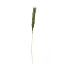 Galho Capim Pampas Decoração Boho Verde Verde 86 cm
