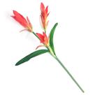 Galho de Vriesea 70 cm