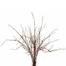 Galhos artificiais de salgueiro encaracolado, 10 peças, palitos decorativos de 66 cm Galhos artificiais de salgueiro encaracolado, 10 peças, palitos decorativos de 66 cm